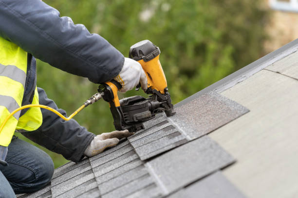Best Storm Damage Roof Repair  in Dimondale, MI