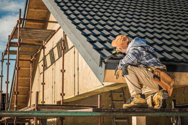 Best Commercial Roofing Services  in Dimondale, MI