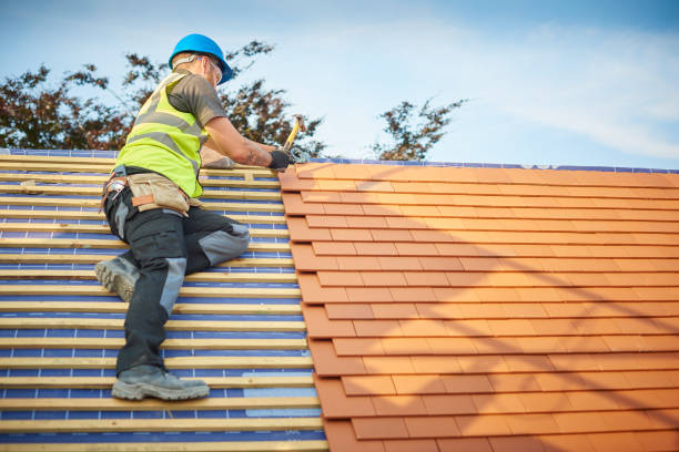 Best Cold Roofs  in Dimondale, MI