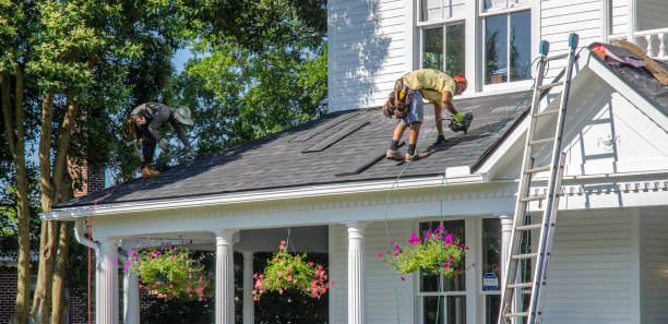 Best Emergency Roof Repair Services  in Dimondale, MI